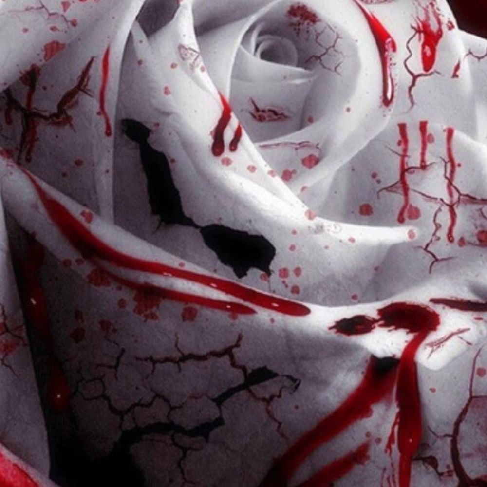 Meet your Posher, Radtke